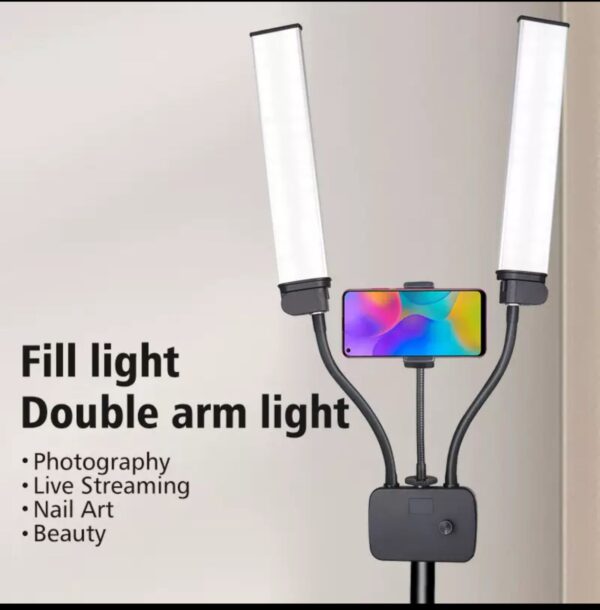 Double arm light